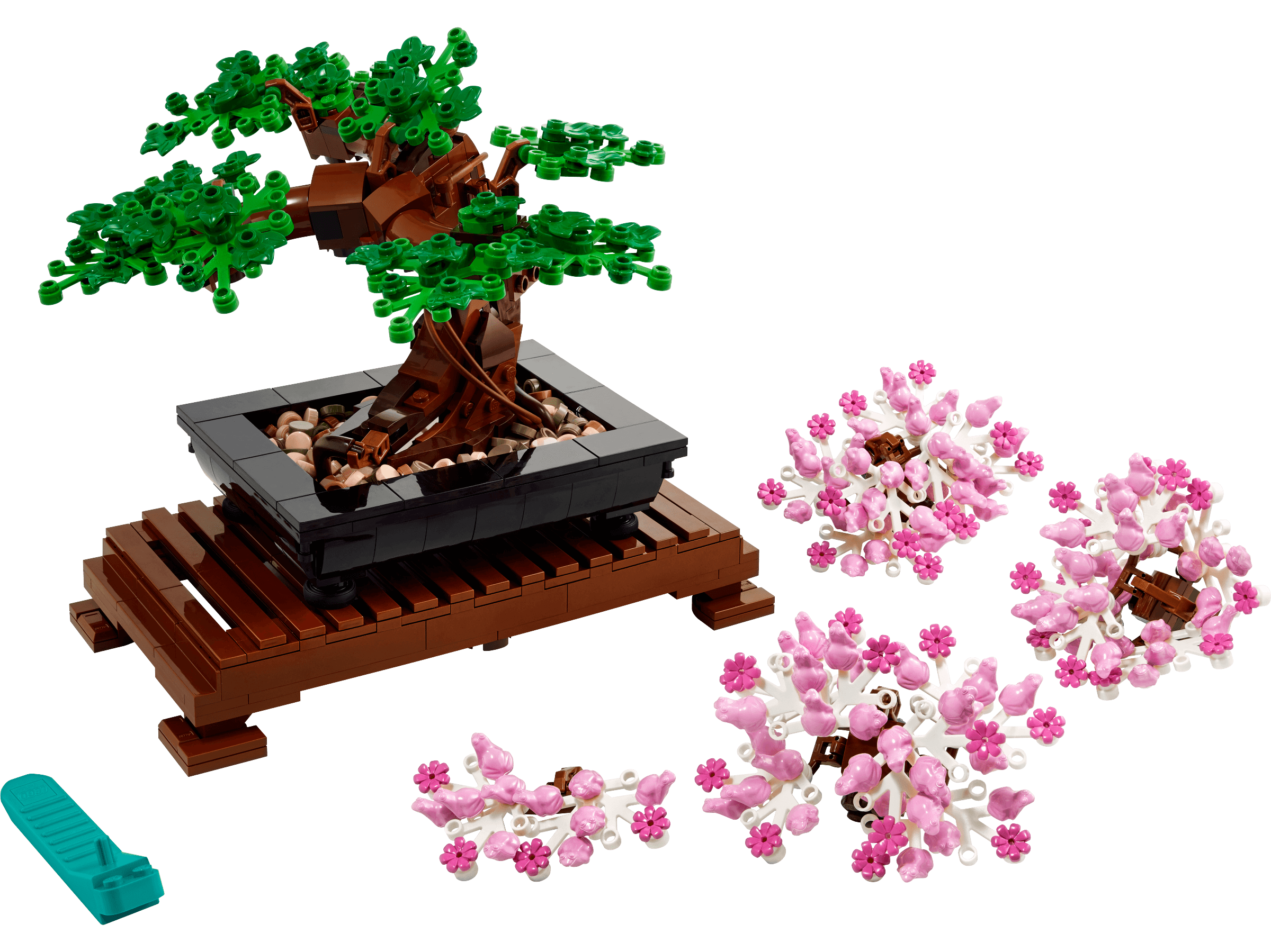 Bonsai Tree